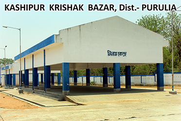 Auction Platform,Kashipur Krishak Bazar
